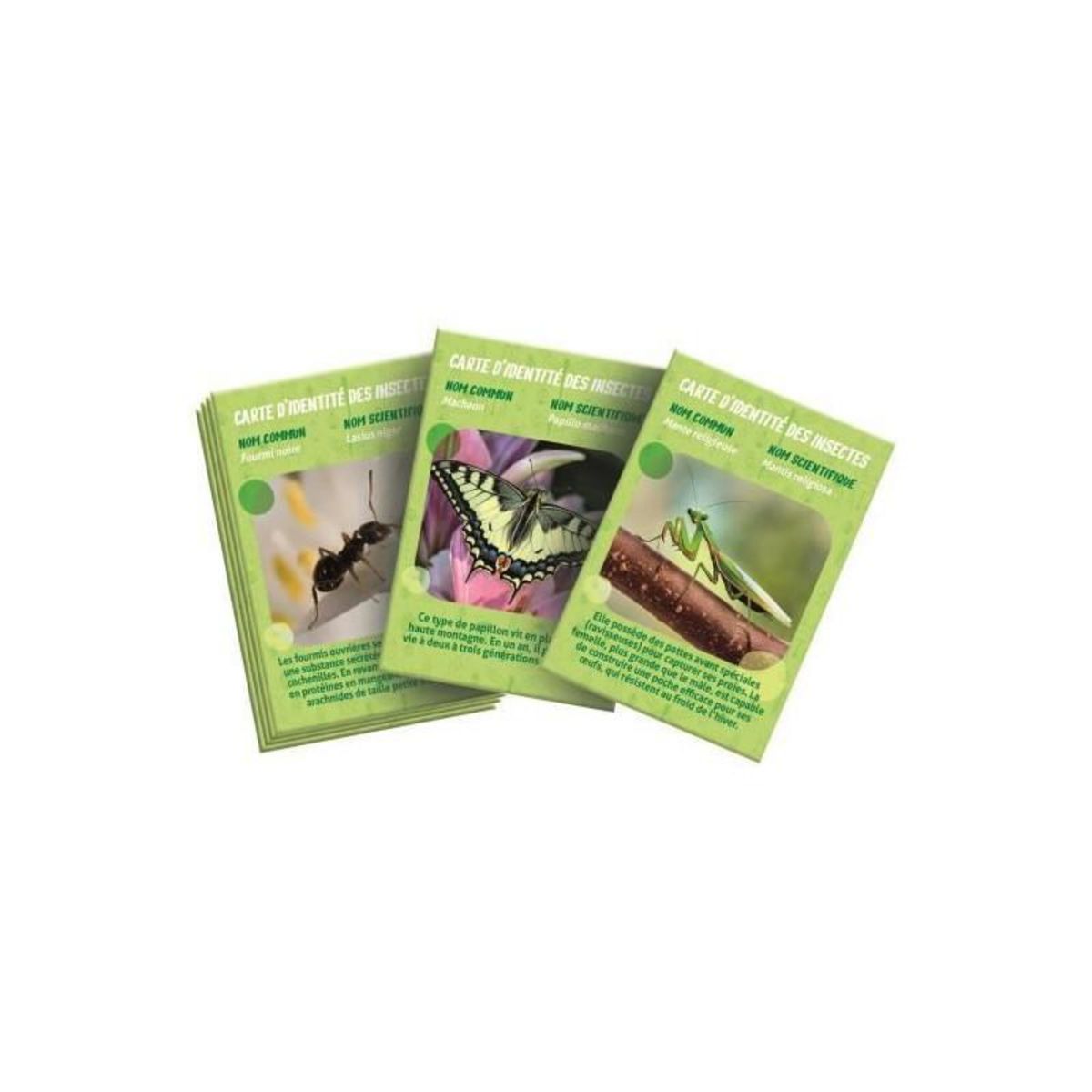 CLEMENTONI La maison des insectes CLEMENTONI