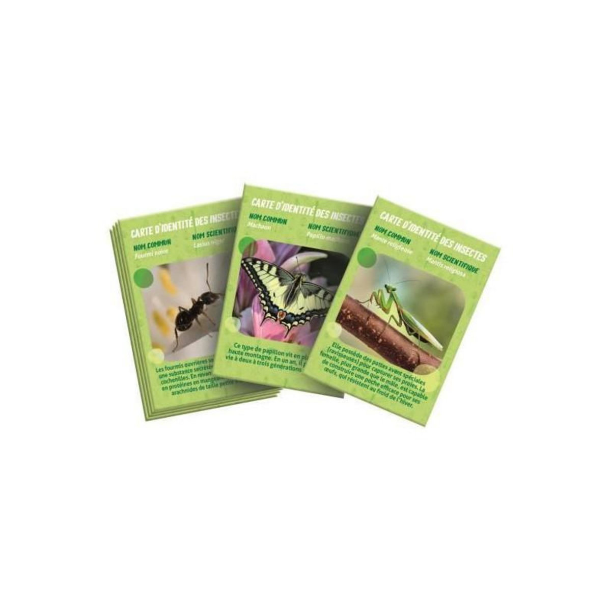 CLEMENTONI La maison des insectes CLEMENTONI