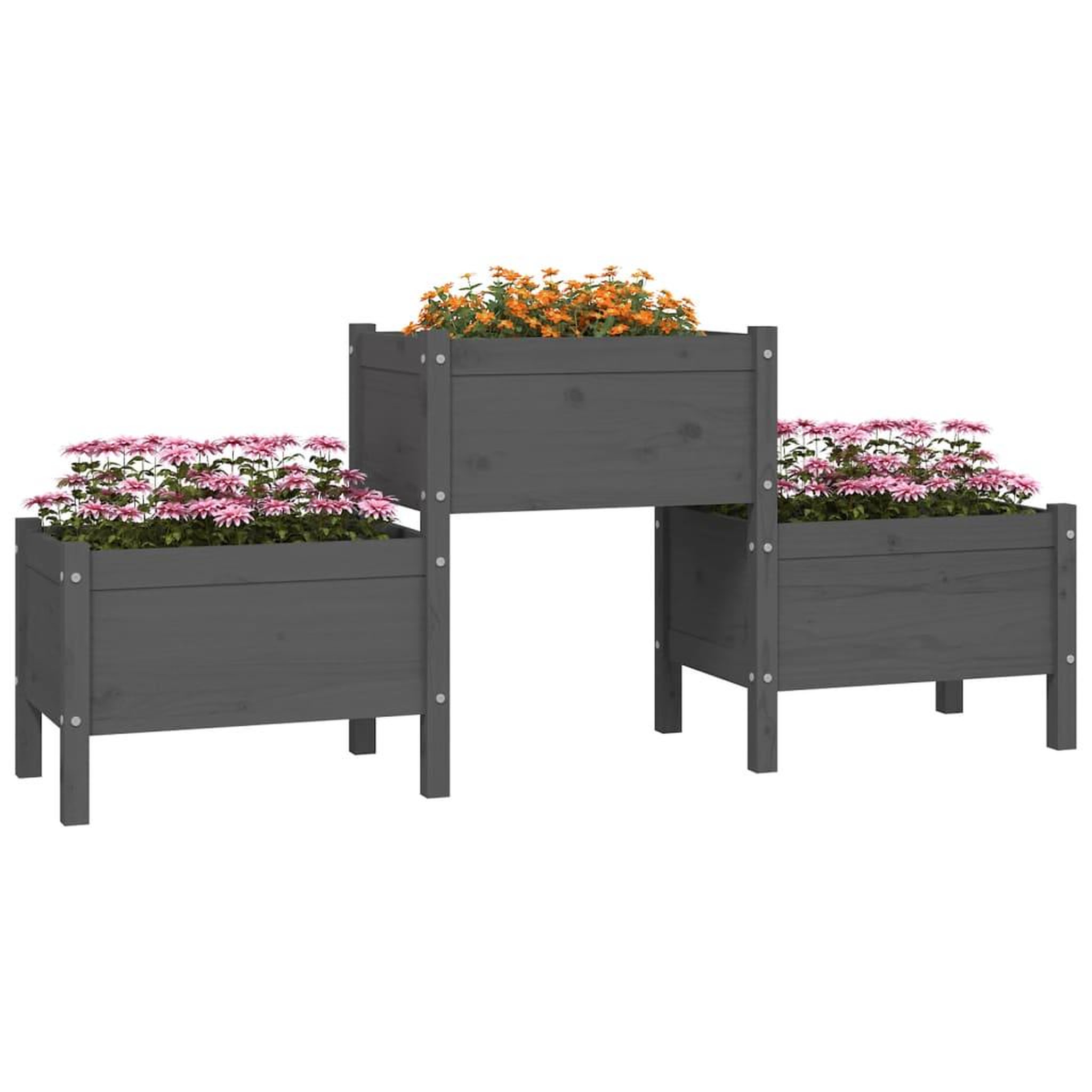 Voir la diapositive 3 : VIDAXL Jardiniere Gris 178,5x44x75 cm Bois massif de pin