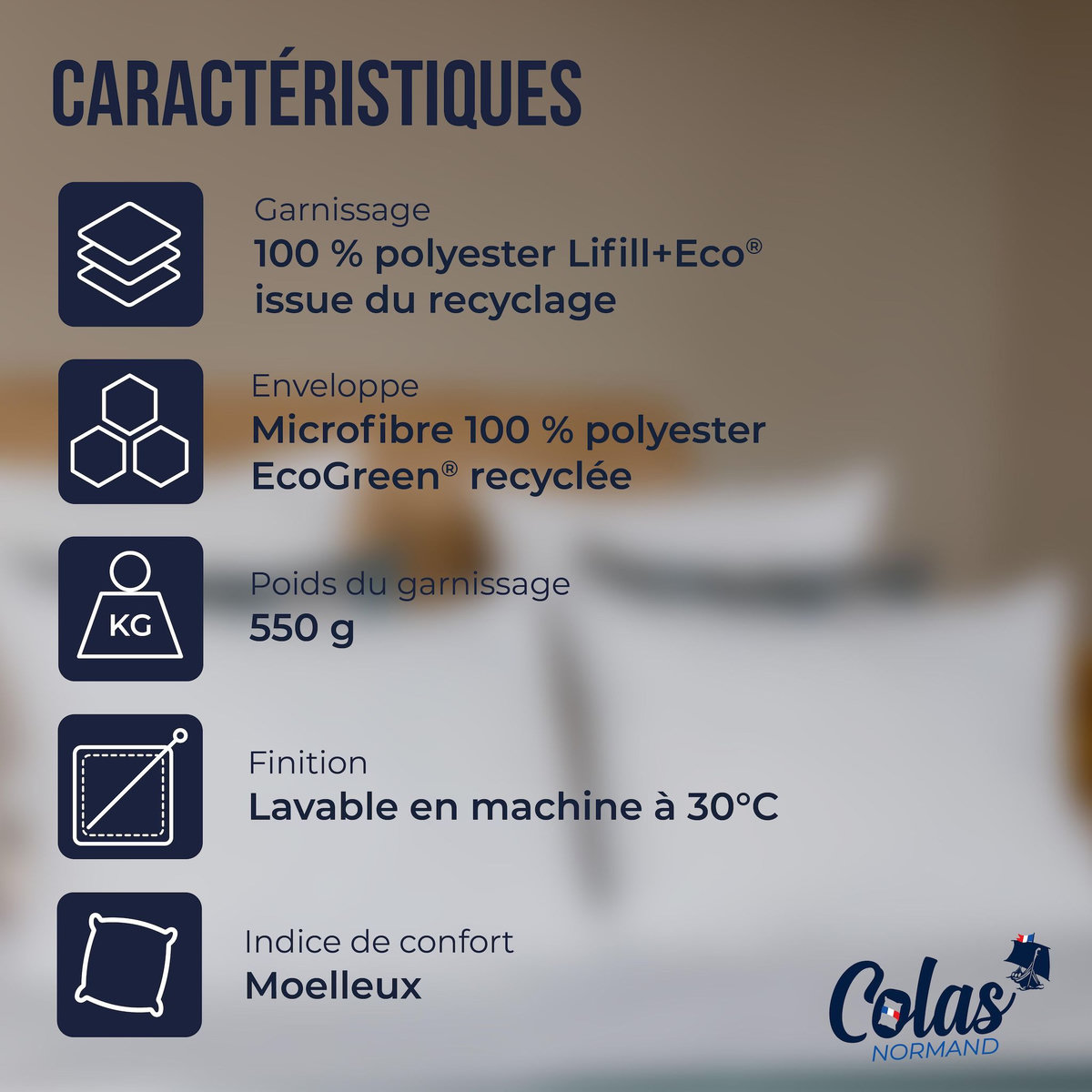 COLAS NORMAND Lot de 2 oreillers 100% écologiques 45×70 cm