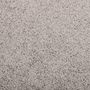 Voir la diapositive 5 : VIDAXL Paillasson Gris 80x120 cm