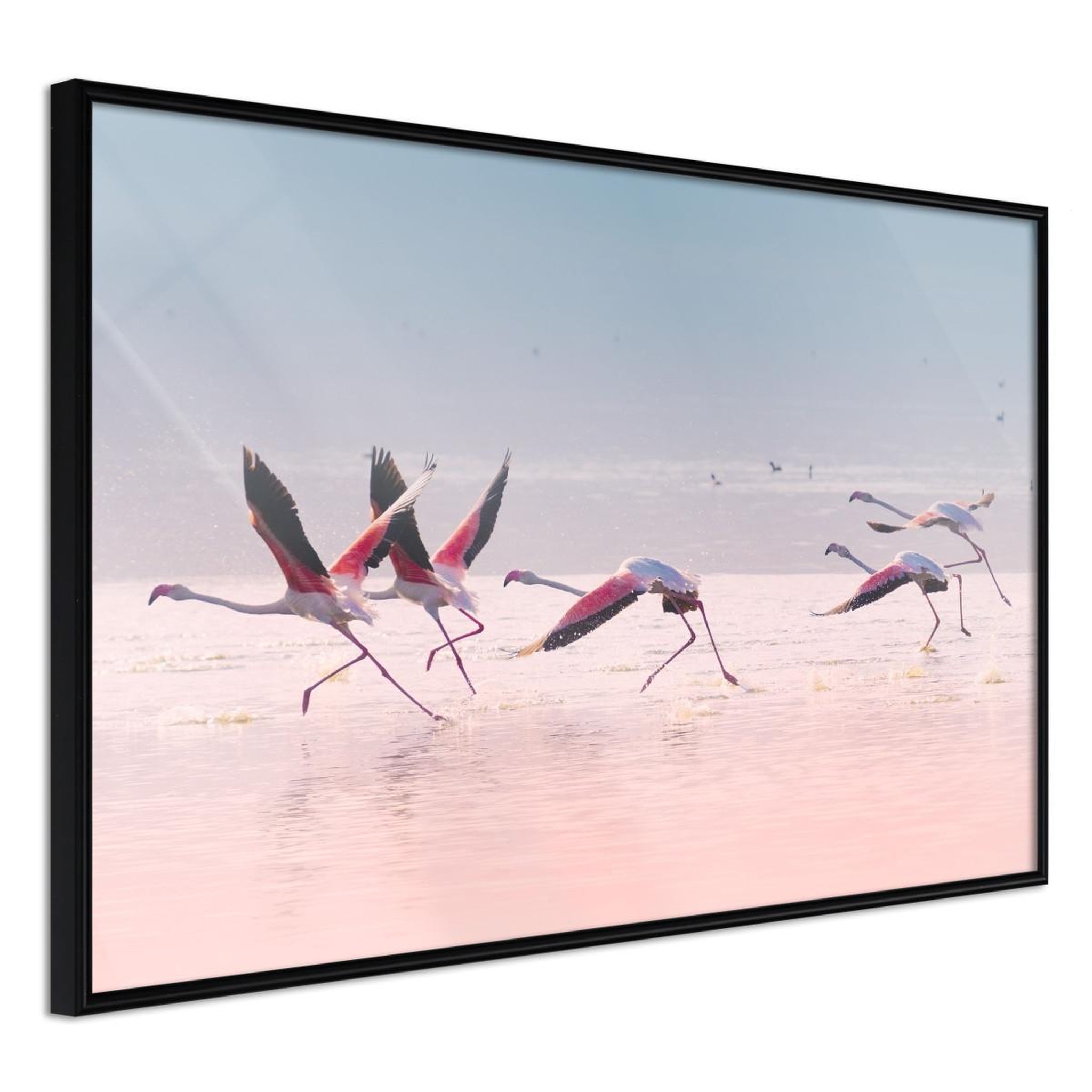Paris Prix Affiche murale encadrée  flamingos breaking into a flight. Coloris disponibles : Noir, Jaune