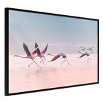 Paris Prix Affiche Murale Encadrée  Flamingos Breaking into a Flight. Coloris disponibles : Noir, Jaune