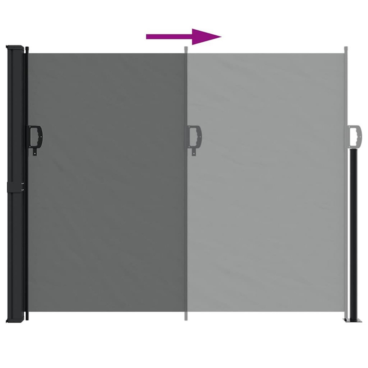 VIDAXL Auvent lateral retractable anthracite 160x500 cm