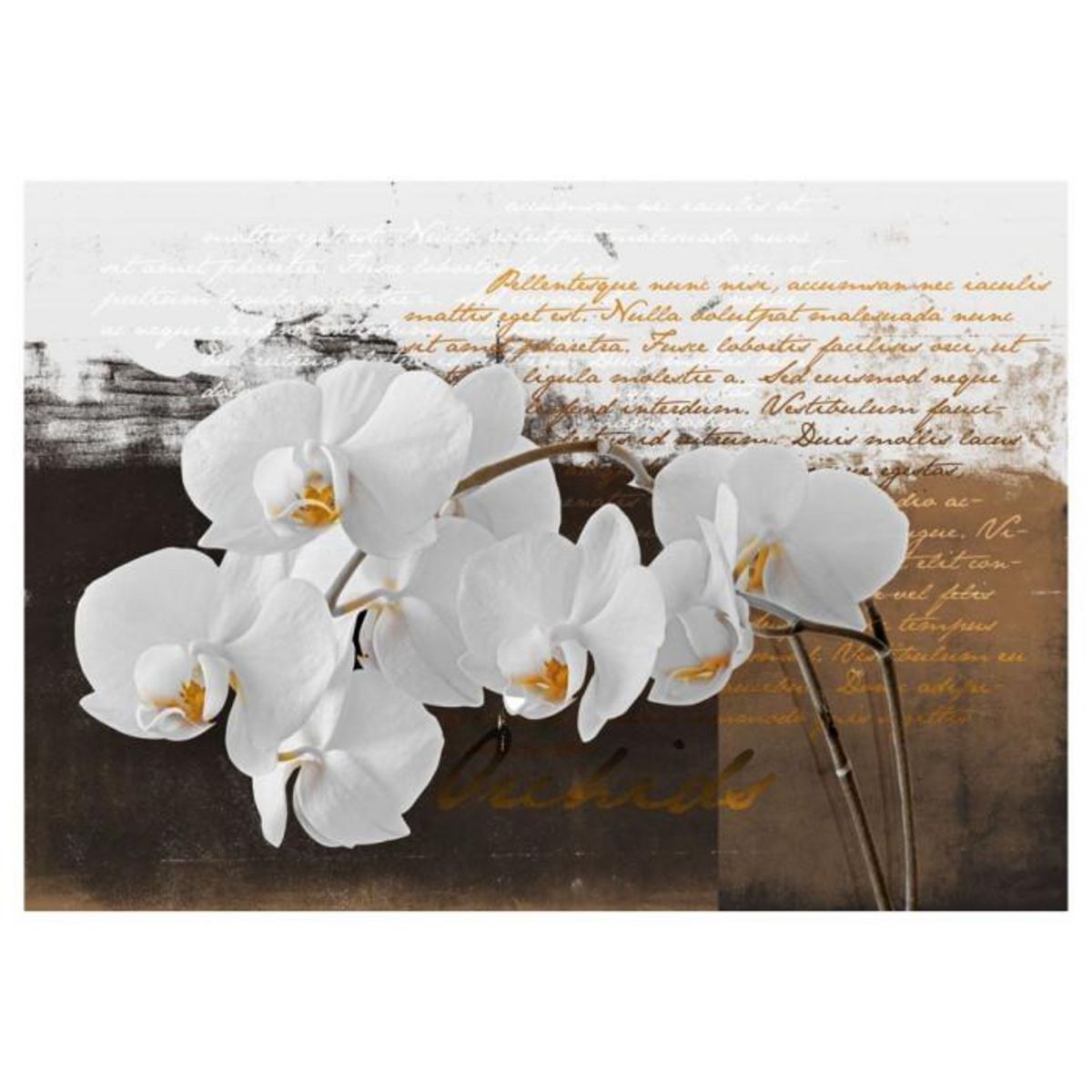 Paris Prix Papier Peint  Sentimental Thoughts