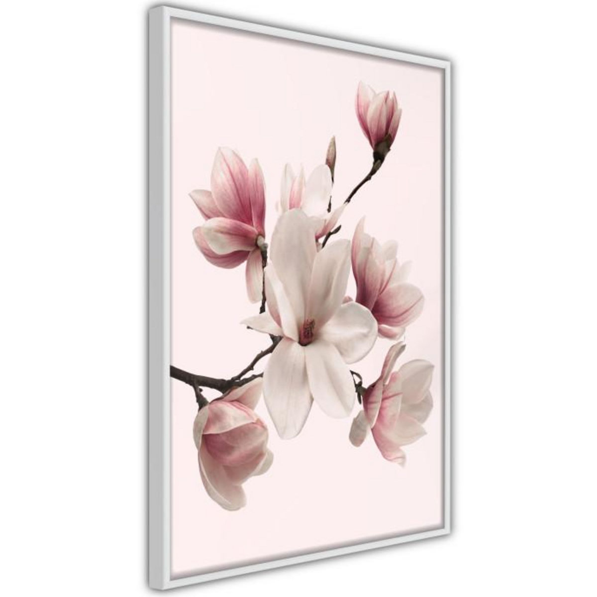 Paris Prix Affiche Murale Encadrée  Blooming Magnolias I