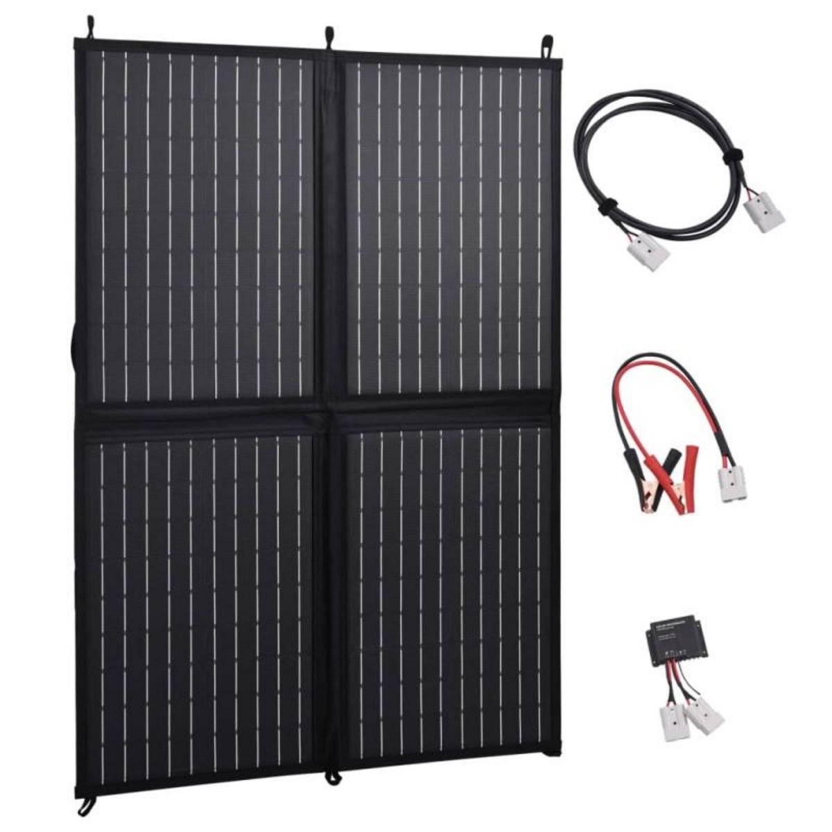 VIDAXL Chargeur de panneau solaire pliable 100 W 12 V