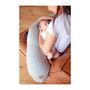 Voir la diapositive 3 : BEABA BEABA Big FlopsyTM Coussin dallaitement et de maternite, Fleur de coton, Gris Chine