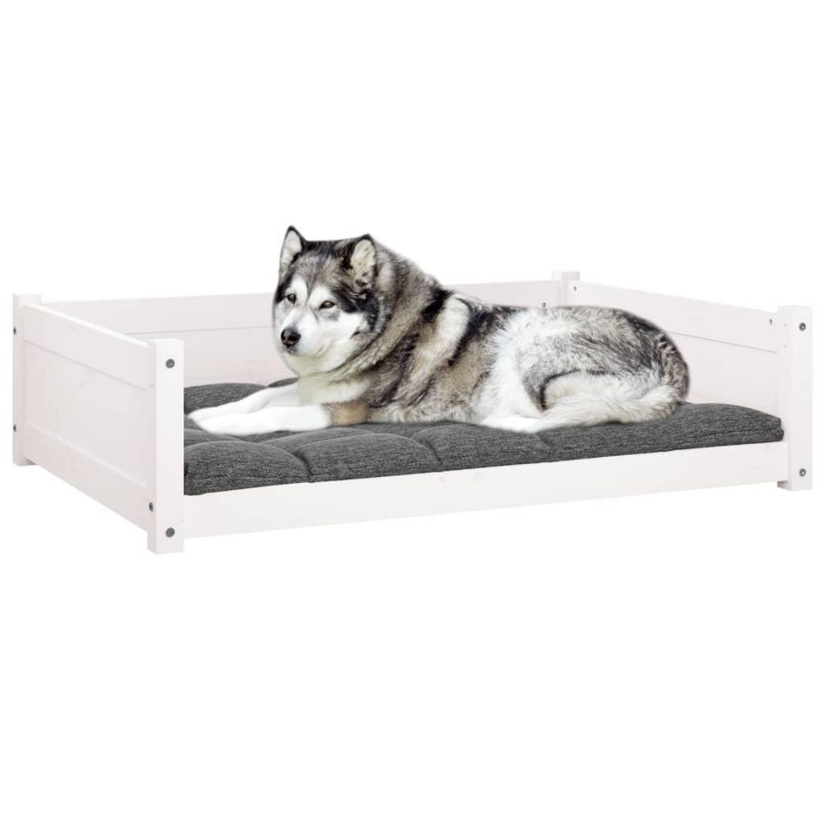 VIDAXL Lit pour chien Blanc 105,5x75,5x28 cm Bois de pin solide