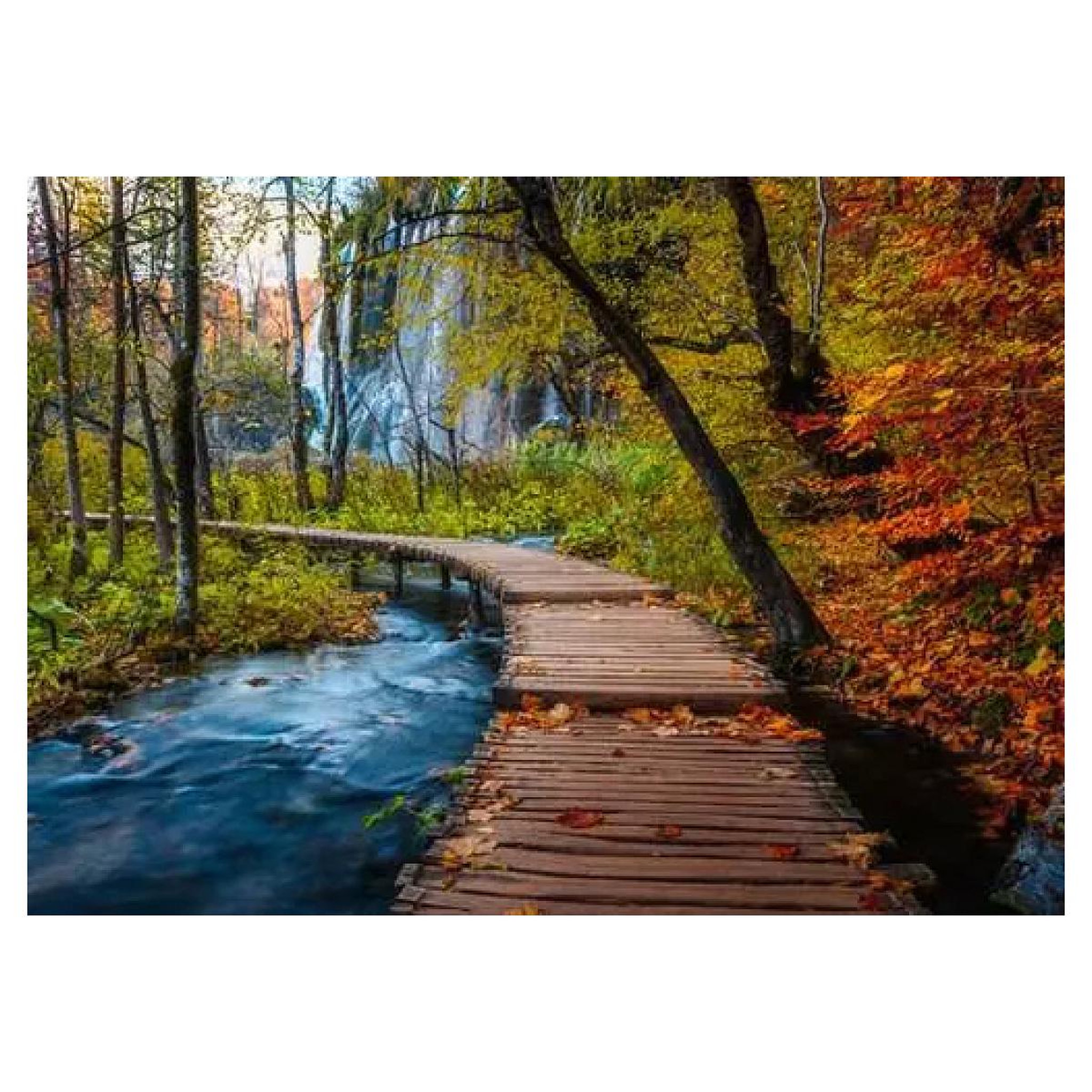 Voir la diapositive 2 : RAVENSBURGER Puzzle 1000 pièces - Chemin boisé d'Automne
