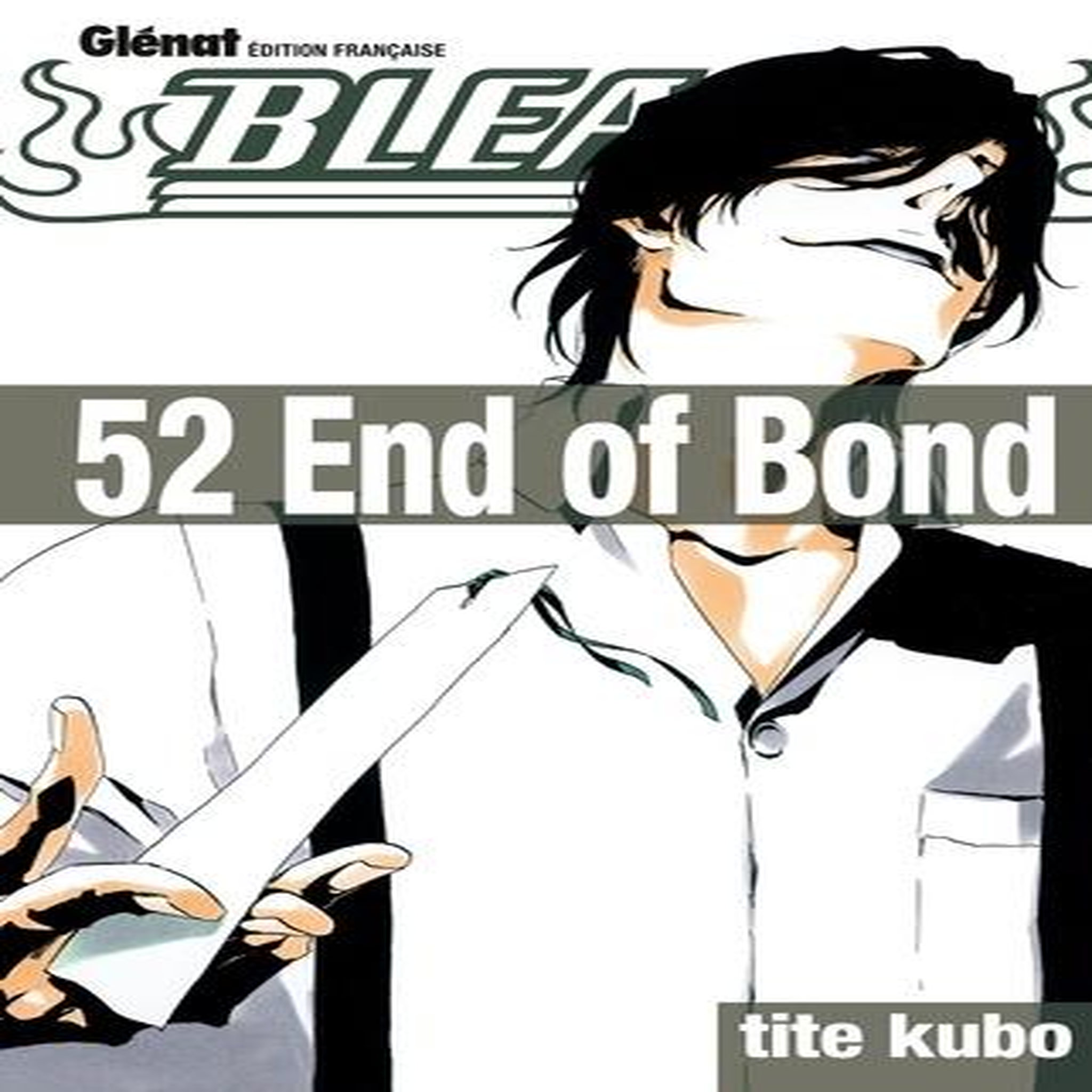BLEACH TOME 52, Kubo Tite