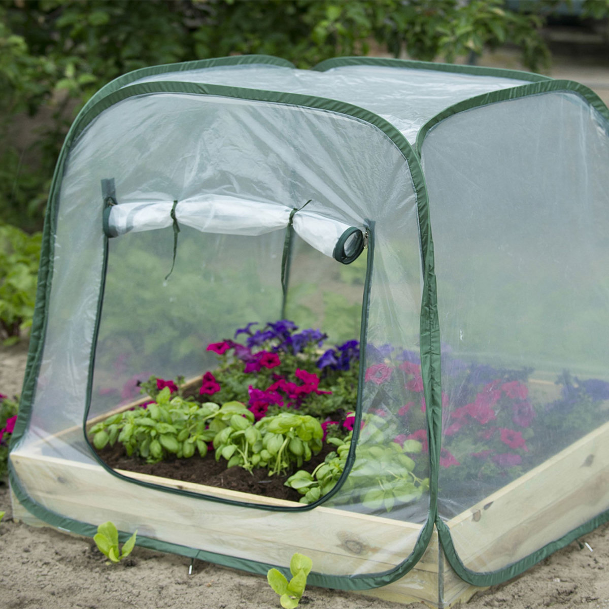 GARDENSTAR Serre Plastifiée 100 x 100 x 100 pour carré potager