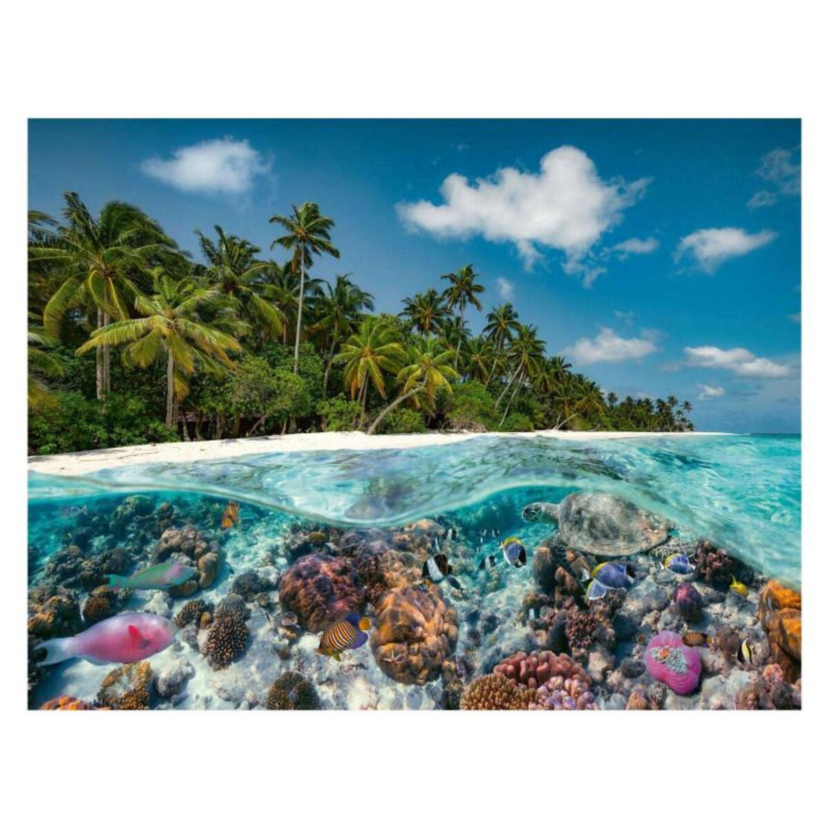 RAVENSBURGER Ravensburger Puzzle A dive in the Maldives, 2000st. 174416