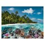 Voir la diapositive 2 : RAVENSBURGER Ravensburger Puzzle A dive in the Maldives, 2000st. 174416
