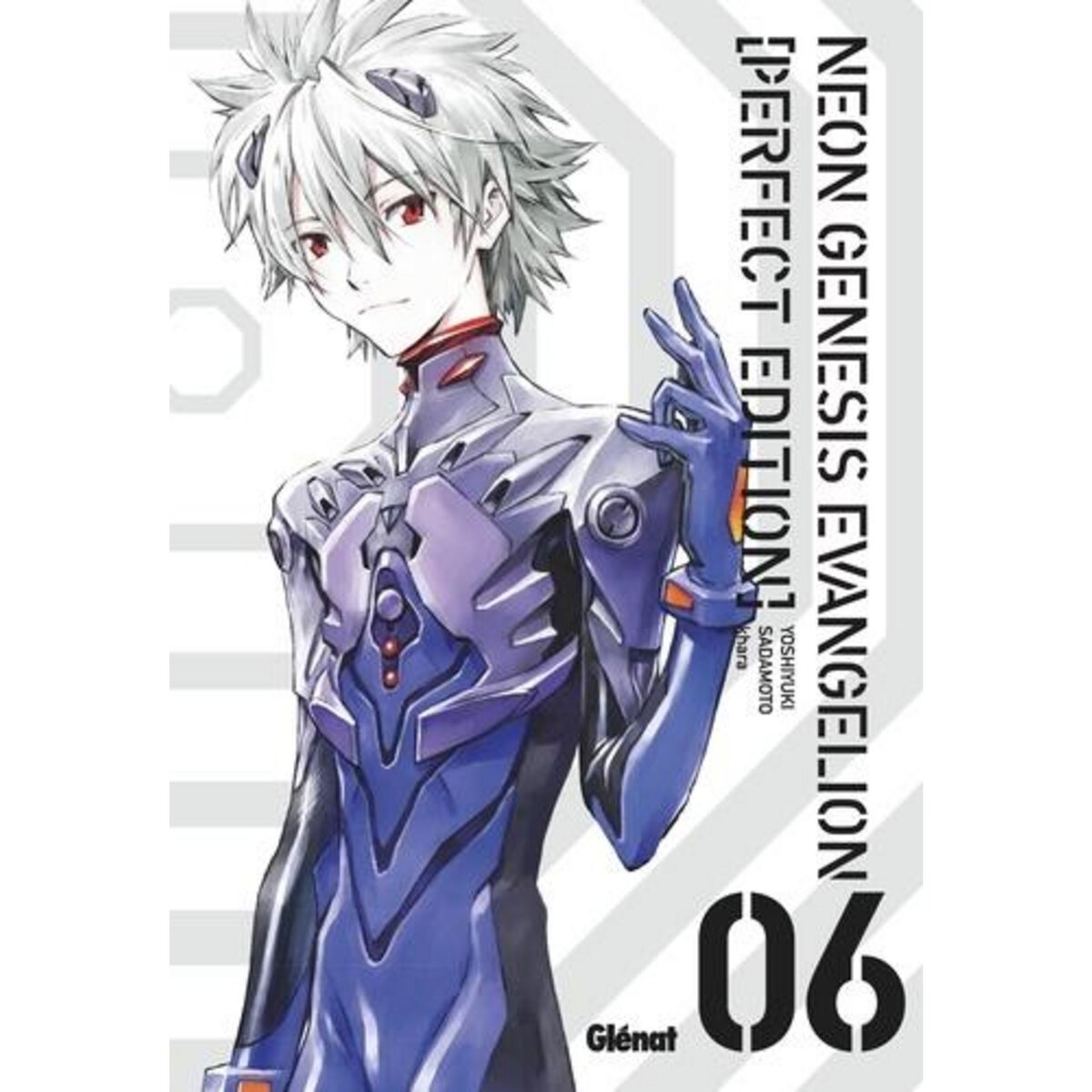 NEON GENESIS EVANGELION TOME 6 : MEMOIRE PALPABLE. PERFECT EDITION, Sadamoto Yoshiyuki