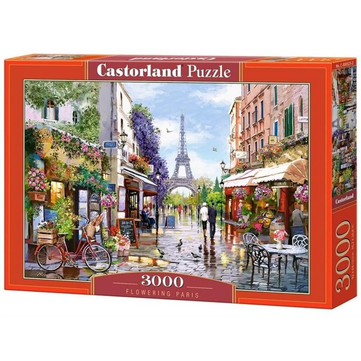 Castorland Puzzle 3000 pièces : Paris Fleuris