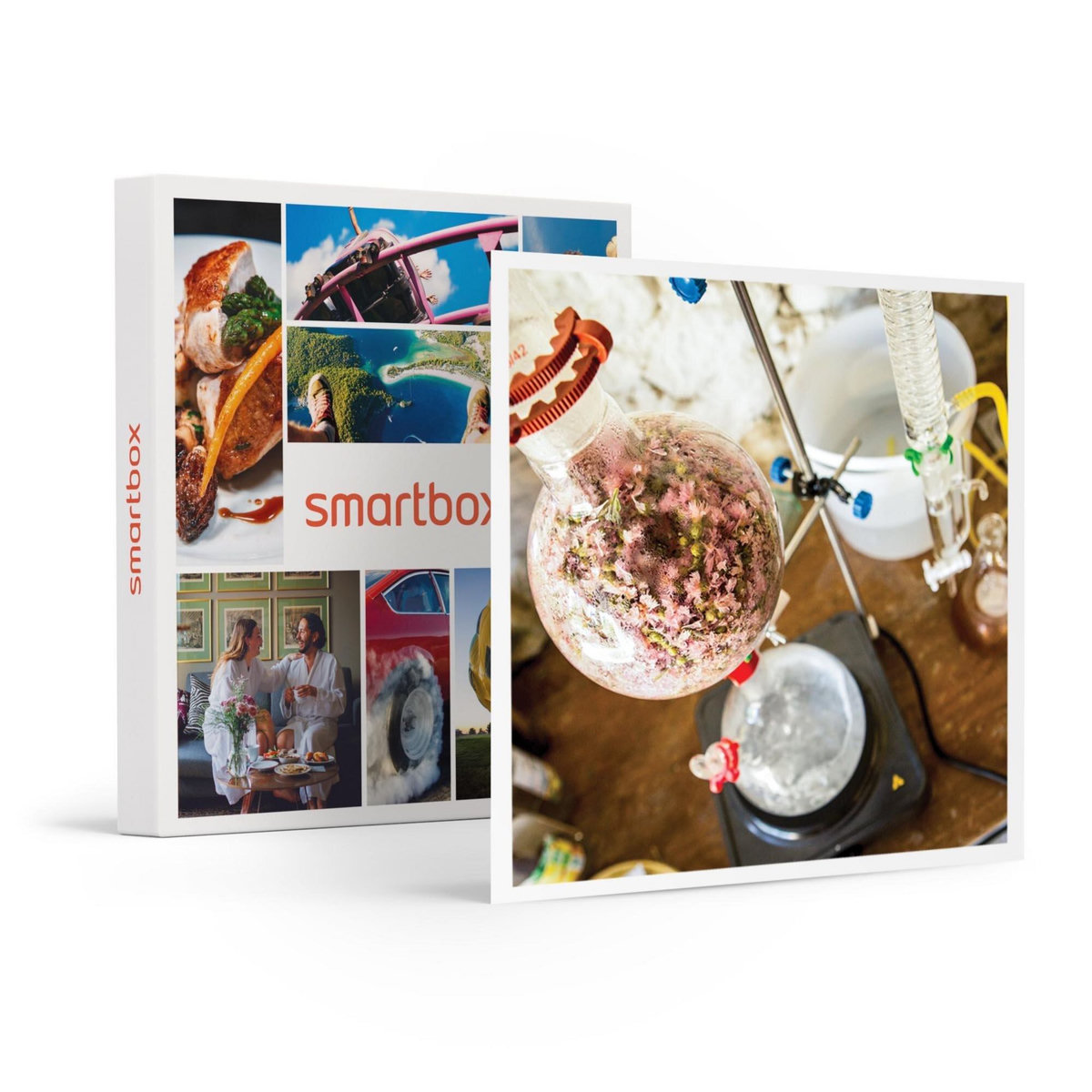 Smartbox Balade à la découverte des plantes sauvages dans une ferme du Luberon - Coffret Cadeau Sport & Aventure