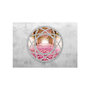 Voir la diapositive 2 : Paris Prix Papier Peint  Enchanted Window