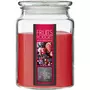 COMPTOIR DE LA BOUGIE Bougie Parfumée en Verre  Couvercle  510g Fruits Rouges