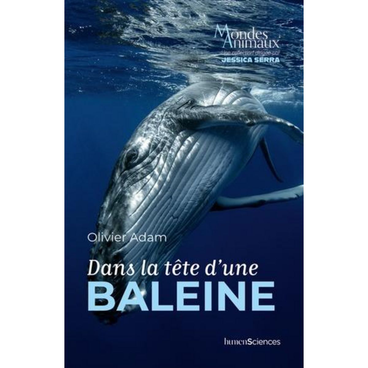 DANS LA TETE D'UNE BALEINE, Adam Olivier