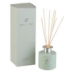 Paris Prix Huile Parfumée  Excellent  27cm Bergamot Wood