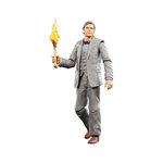 HASBRO Figurine Hasbro Indiana Jones articulée 15 cm
