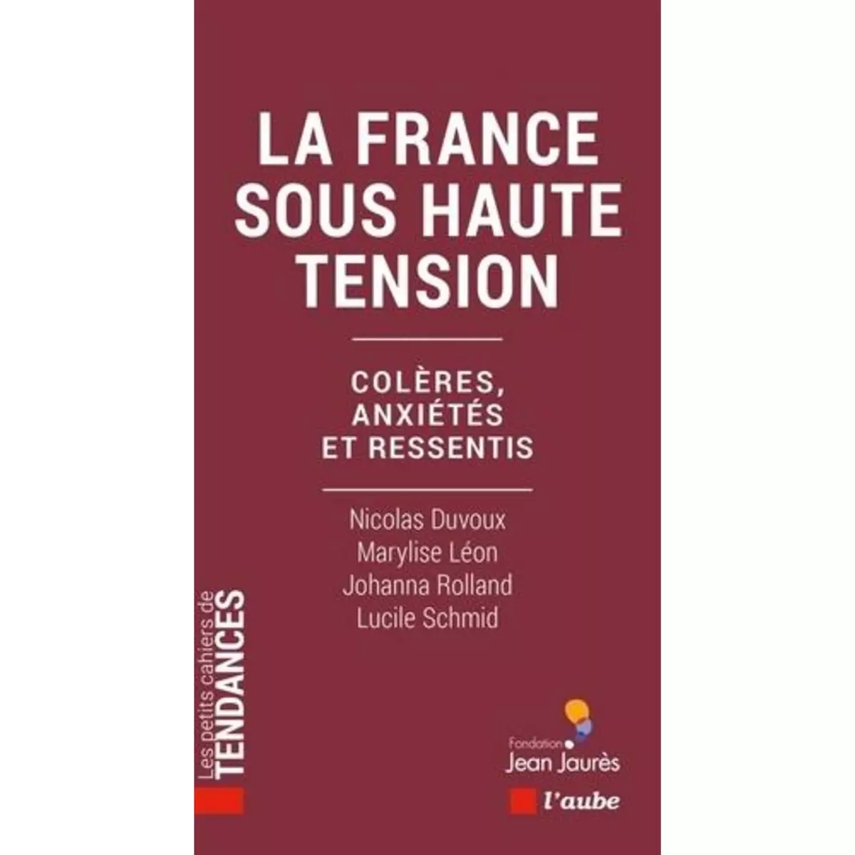  LA FRANCE SOUS HAUTE TENSION. COLERES, ANXIETES ET RESSENTIS, Duvoux Nicolas