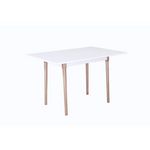 Habitat et Jardin Table repas  Freddy  - 120 x 80 x 75 cm - Blanc laqué