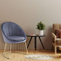Voir la diapositive 5 : Paris Prix Chaise Design en Velours  Mayra  84cm Gris