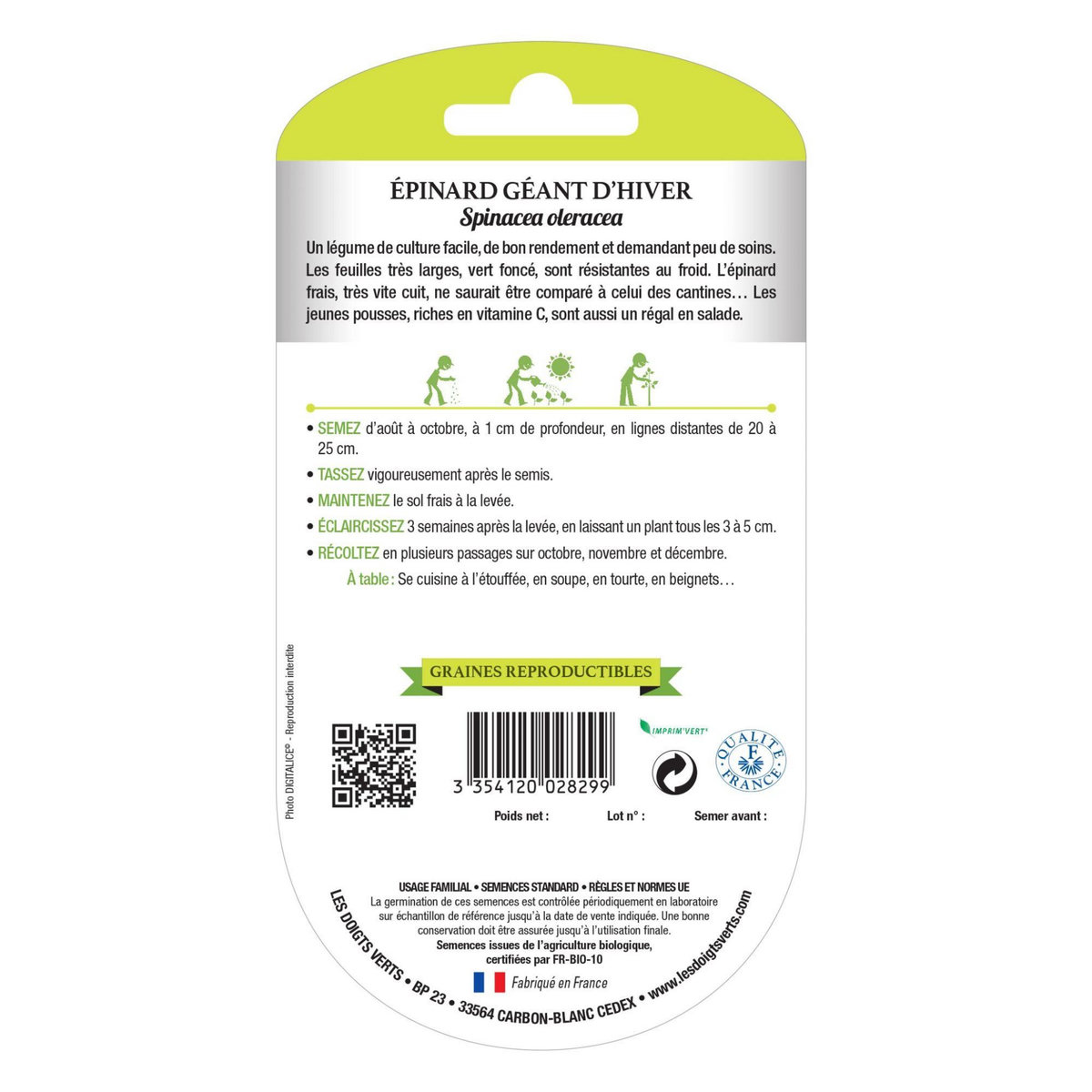 LES DOIGTS VERTS Graines épinard géant d'hiver BIO Les Doigts Verts