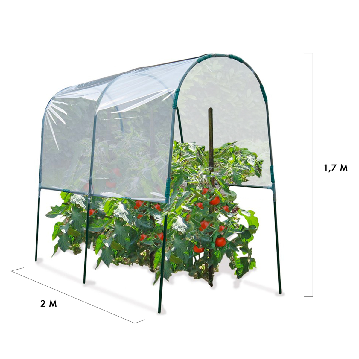 ID MARKET Serre à tomates 2 M