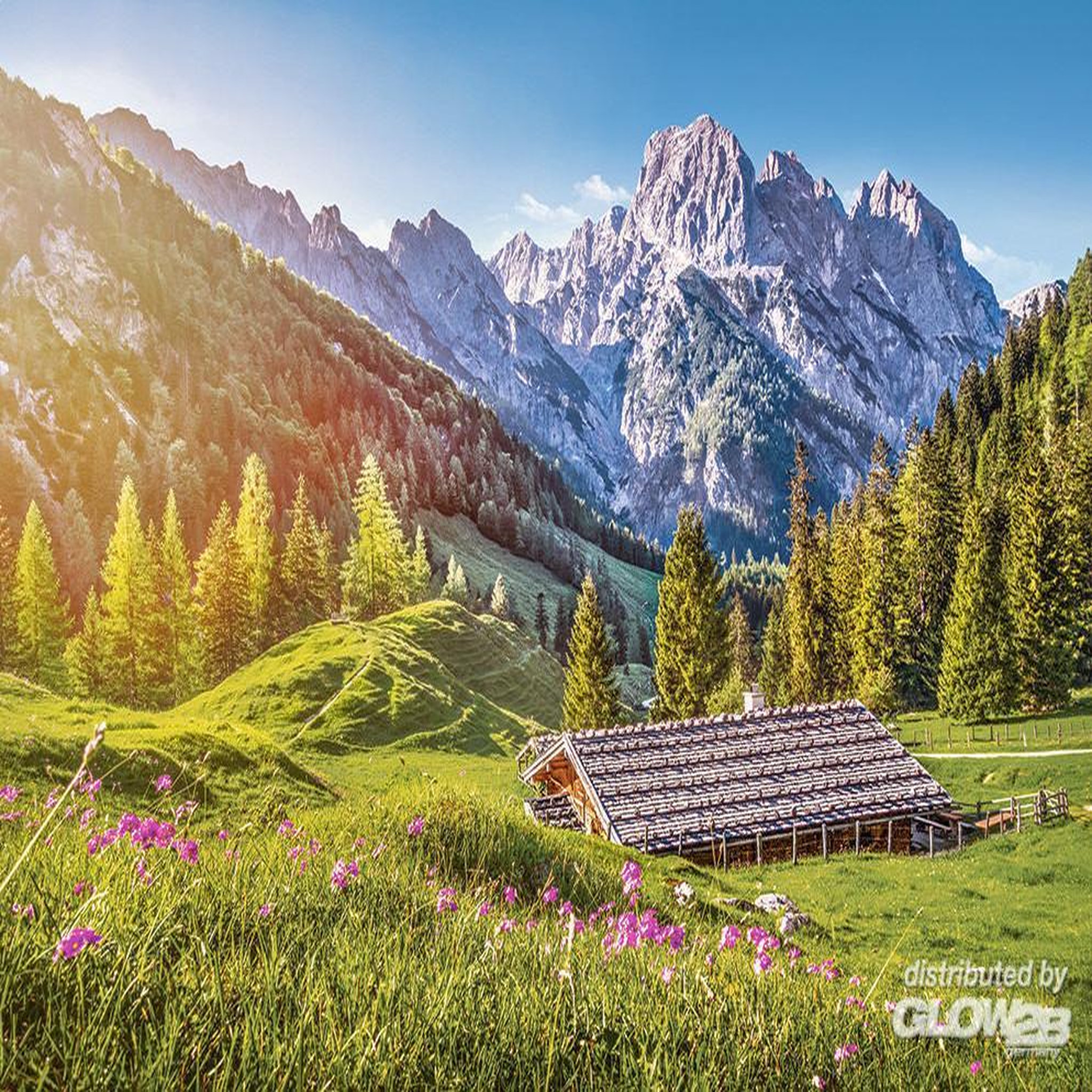 Voir la diapositive 4 : Castorland Puzzle 500 pièces : Eté dans les Alpes