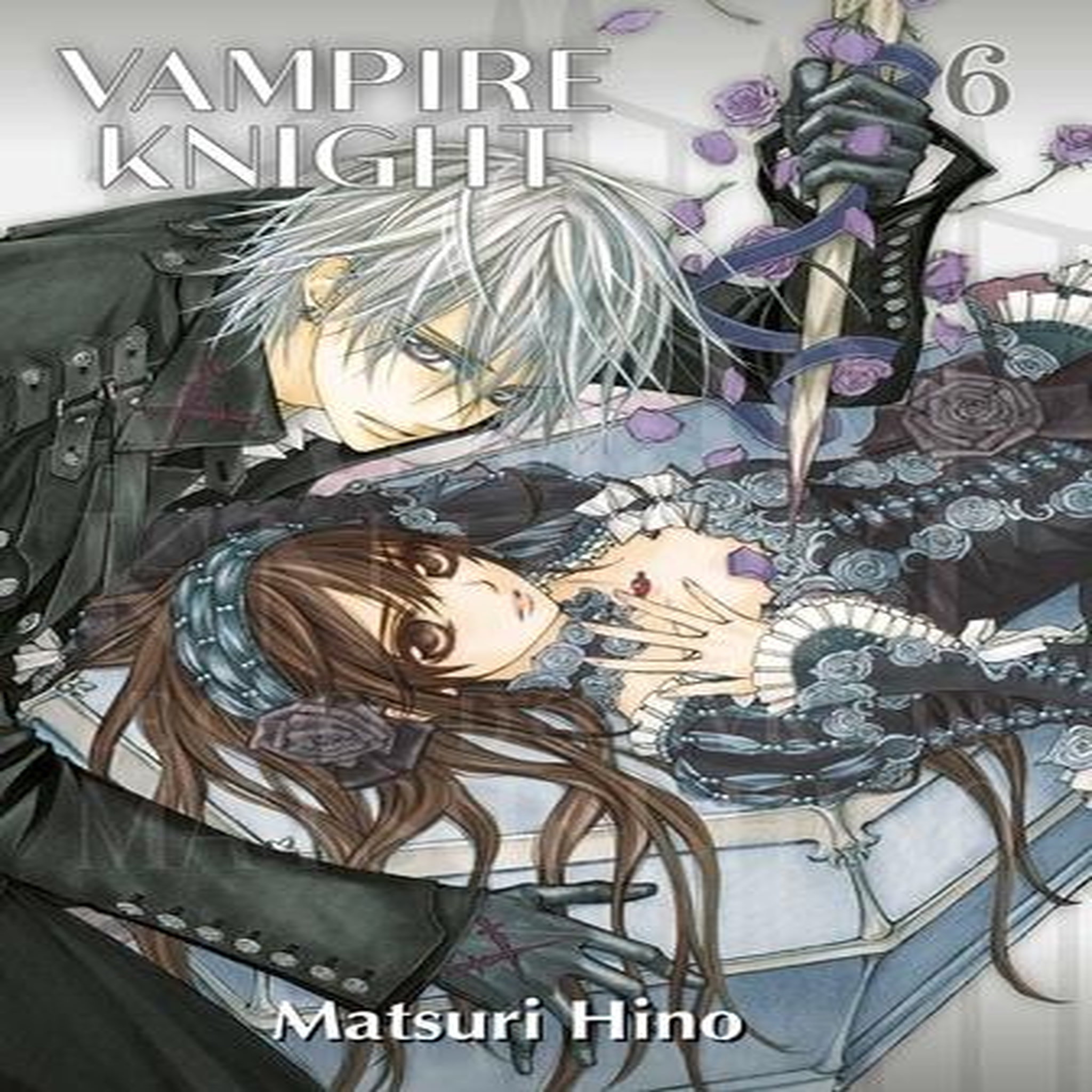 VAMPIRE KNIGHT TOME 6 . PERFECT EDITION, Hino Matsuri