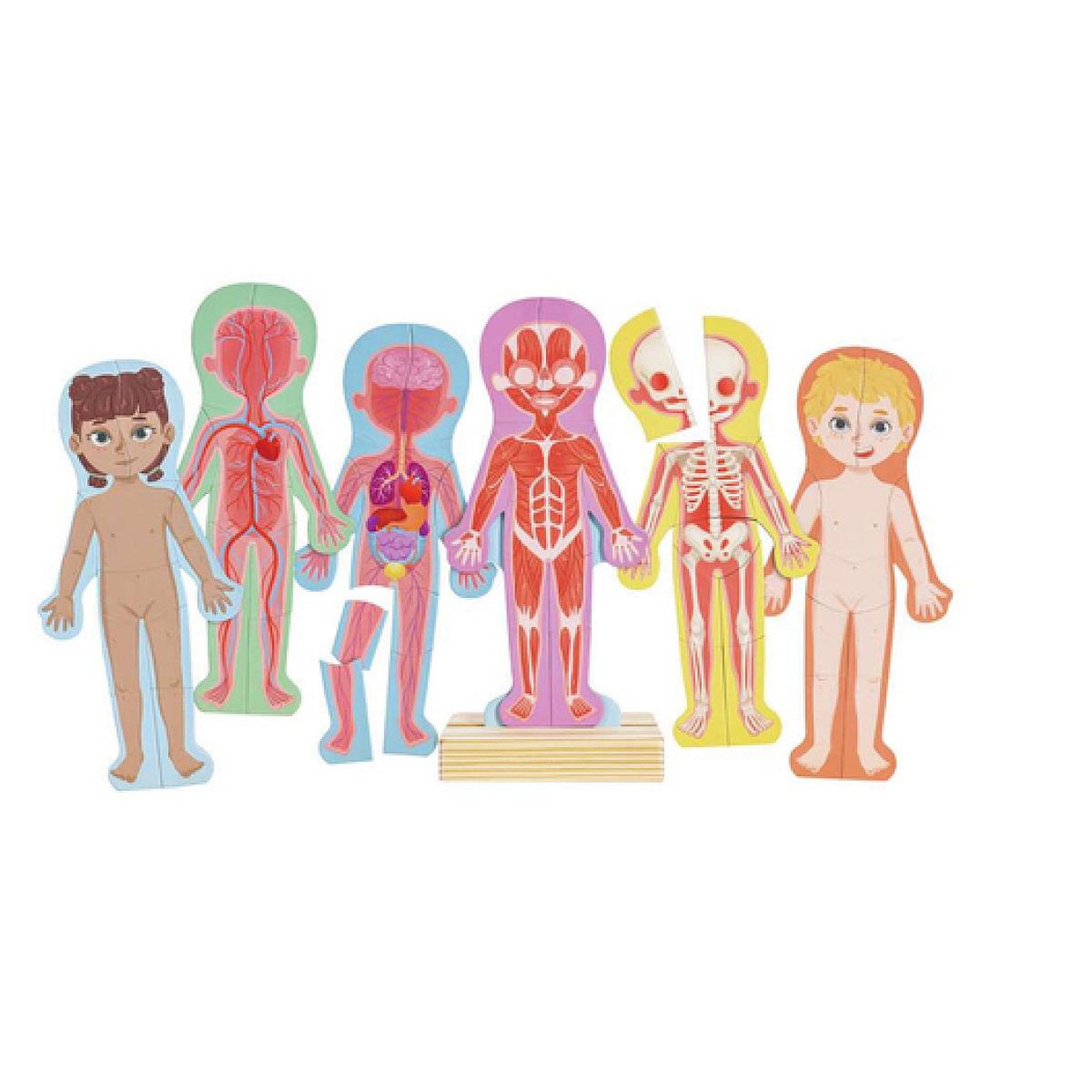 Hape Puzzle aimante - assemble le corps humain