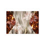Voir la diapositive 2 : Paris Prix Papier Peint  Golden Comet