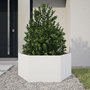 Voir la diapositive 2 : VIDAXL Jardiniere blanc hexagone 104x90x45 cm acier