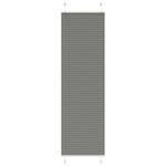 VIDAXL Store plisse anthracite 60x200 cm largeur du tissu 59,4 cm