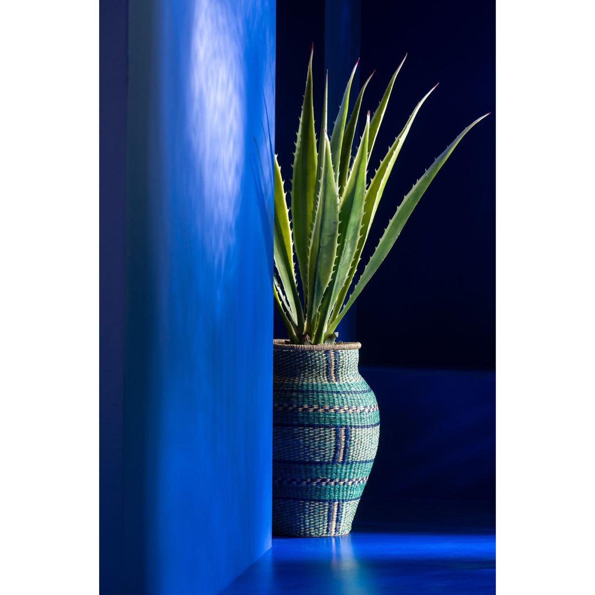Voir la diapositive 4 : J-LINE Plante artificielle en pot  agave  115cm vert