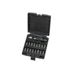 Ks Tools Coffret d'embouts KS TOOLS - Avec tournevis à frapper - 18 pcs - 515.2000