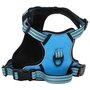 Voir la diapositive 2 : VIDAXL Harnais pour chien avec laisse et collier reglables bleu XL
