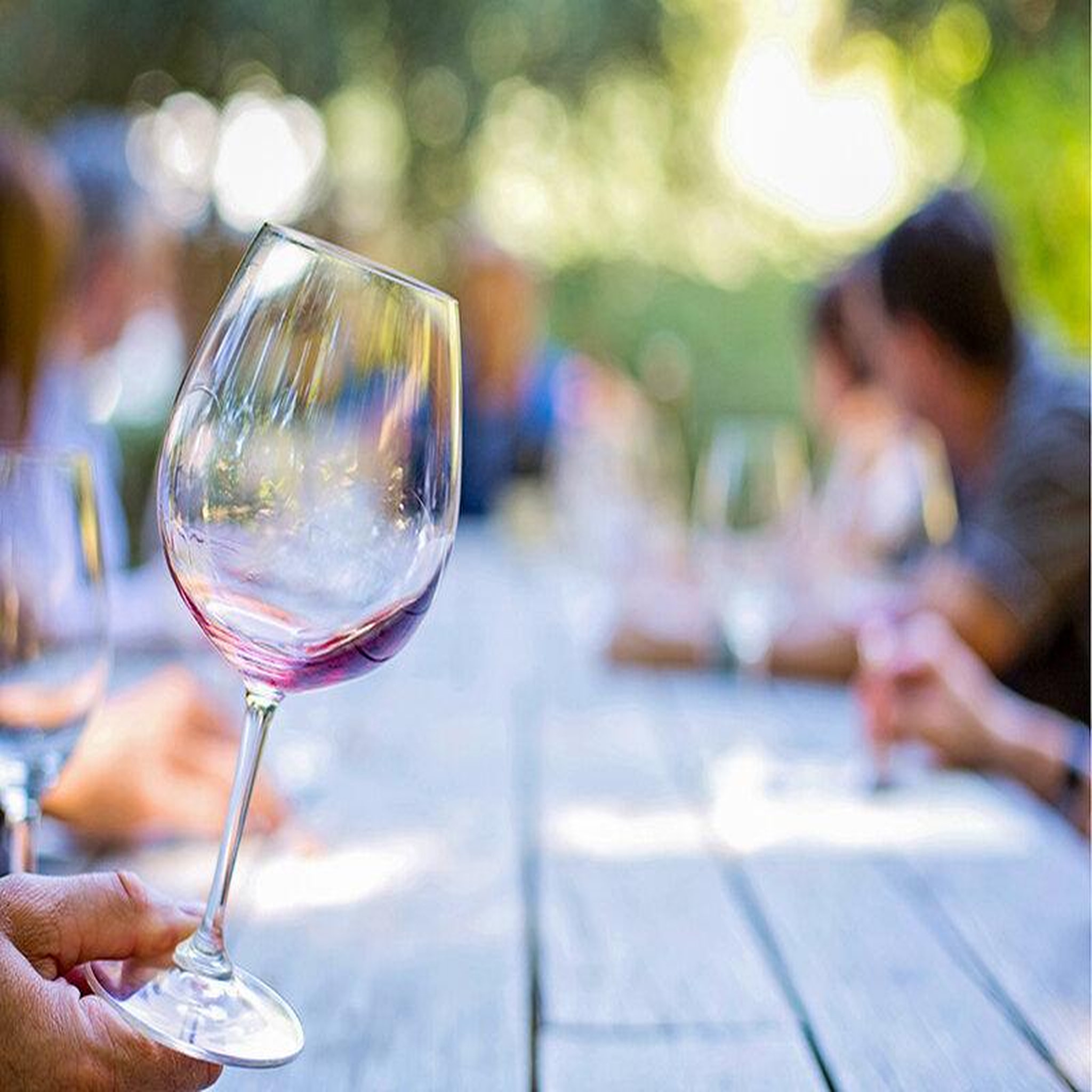 Voir la diapositive 4 : Smartbox Visite du vignoble de la bastide des oliviers et de sa cave avec dégustation pour 2 - coffret cadeau gastronomie