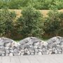Voir la diapositive 1 : VIDAXL Panier de gabions arque 100x30x40/60 cm Fer galvanise