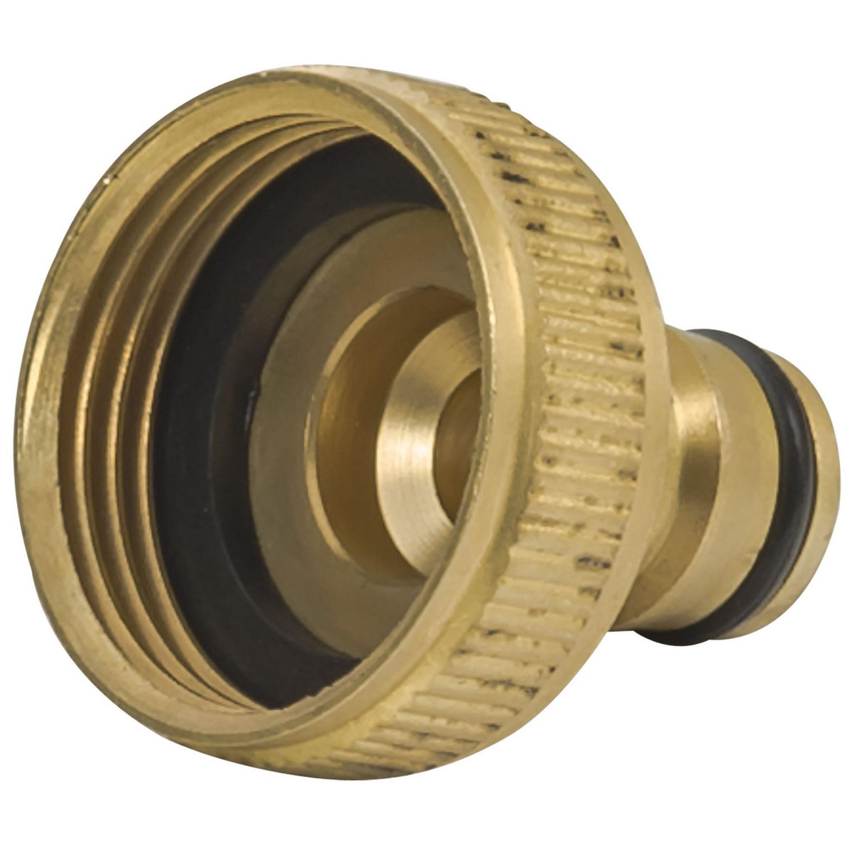 RAIN Nez de robinet femelle 1 en laiton 26 x 34 mm