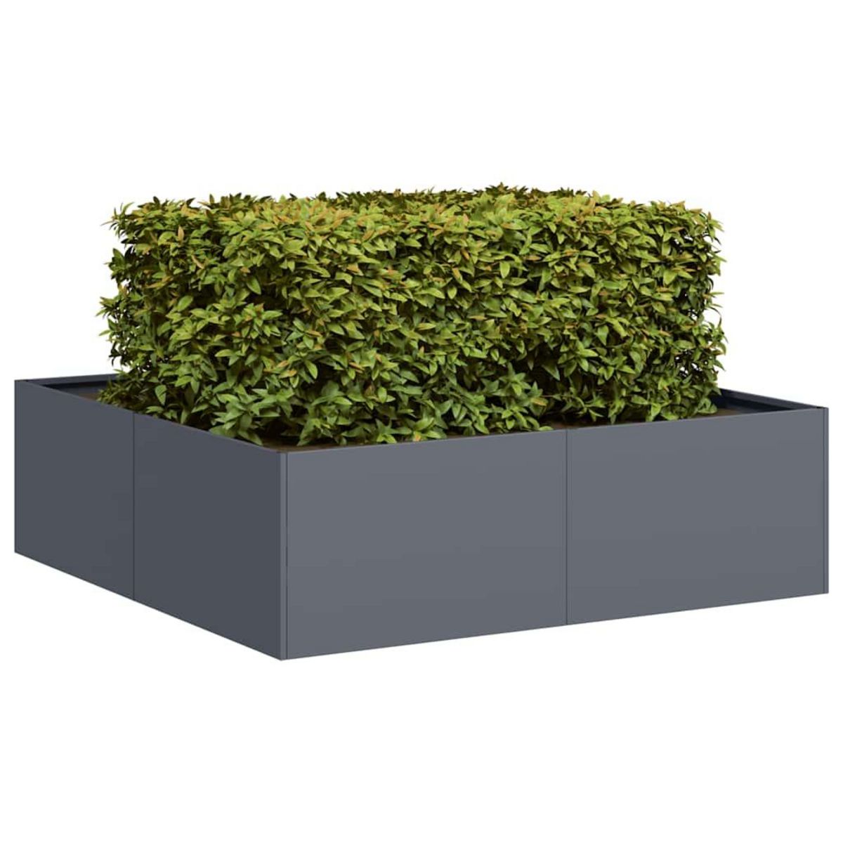 VIDAXL Jardiniere anthracite 100x100x30 cm acier
