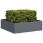 Voir la diapositive 1 : VIDAXL Jardiniere anthracite 100x100x30 cm acier