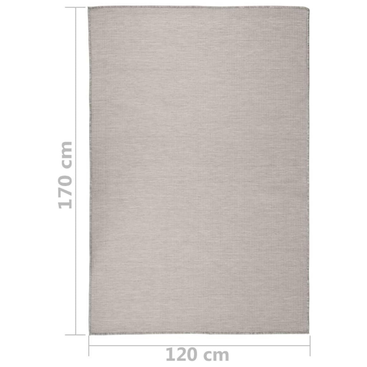 VIDAXL Tapis a tissage plat d'exterieur 120x170 cm Taupe
