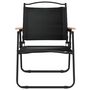 Voir la diapositive 4 : VIDAXL Chaises de camping lot de 2 Noir 54x55x78 cm Tissu Oxford