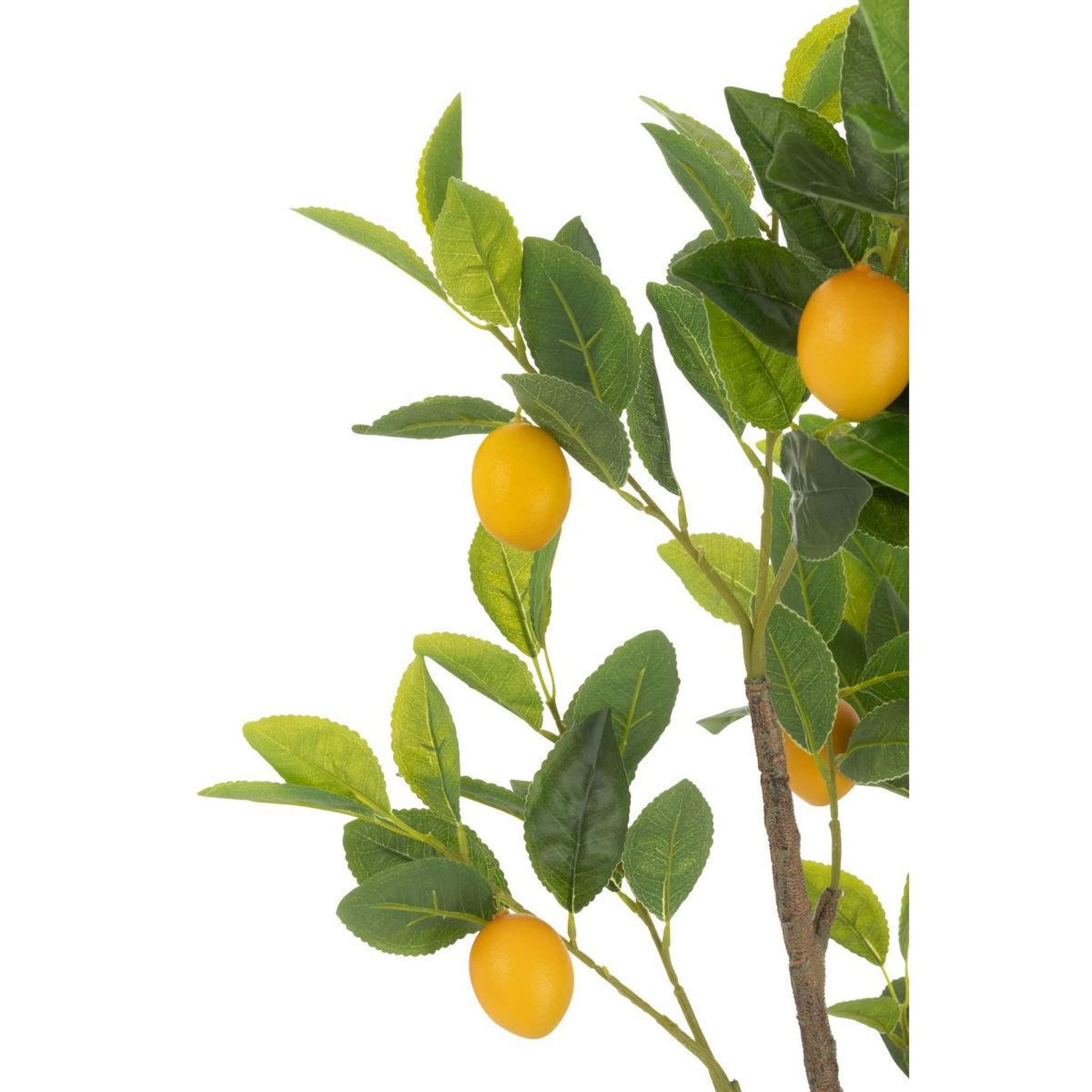 Voir la diapositive 2 : J-LINE Plante Artificielle en Pot  Citronnier  130cm Vert