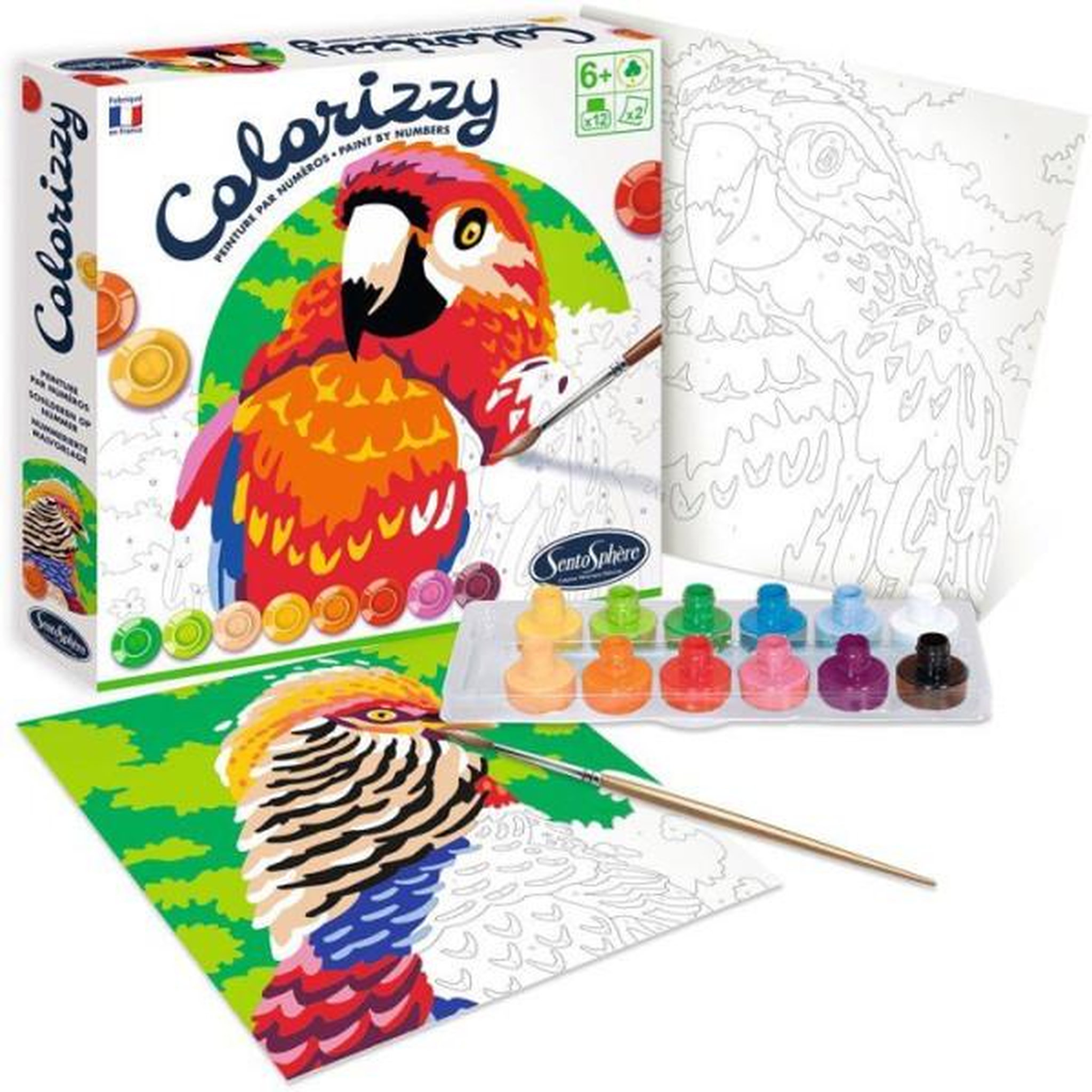 Sentosphere Peinture acrylique - sentosphere - colorizzy - oiseaux - peinture a numéro pour jeunes artistes - des 8 ans