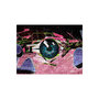 Voir la diapositive 2 : Paris Prix Papier Peint  Oeil Graffiti
